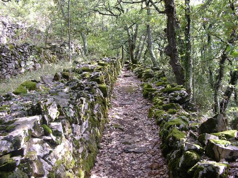 Camping l'Orée des Cévennes - Camping Gard - Image N°36