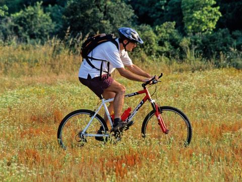 Camping l'Orée des Cévennes - Camping Gard - Image N°9