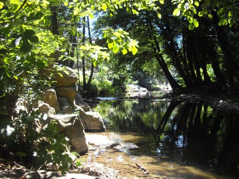 Camping l'Orée des Cévennes - Camping Gard - Image N°18