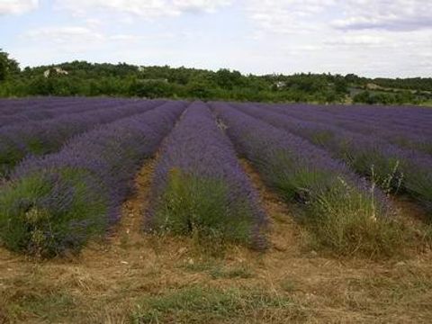 Camping l'Orée des Cévennes - Camping Gard - Image N°32