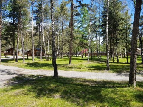 Camping l'Iscle de Prelles - Camping Hautes-Alpes - Image N°15