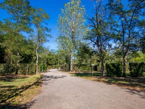 Camping Le Domaine du Cros d'Auzon - Camping Ardèche - Image N°31