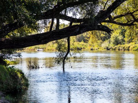 Camping Le Domaine du Cros d'Auzon - Camping Ardèche - Image N°41