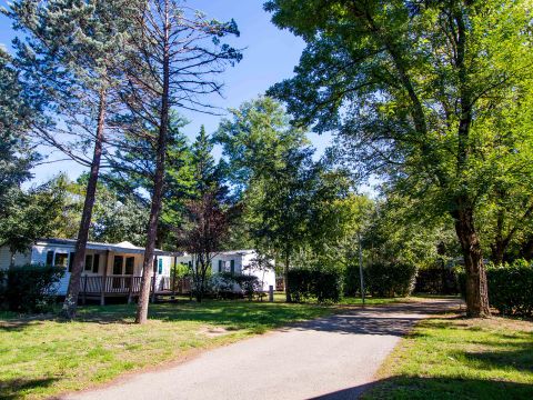 Camping Le Domaine du Cros d'Auzon - Camping Ardèche - Image N°33