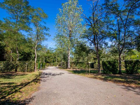 Camping Le Domaine du Cros d'Auzon - Camping Ardèche - Image N°29