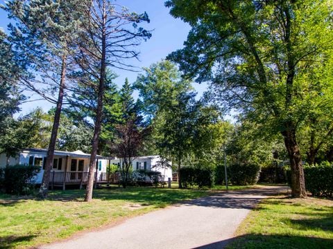 Camping Le Domaine du Cros d'Auzon - Camping Ardèche - Image N°39