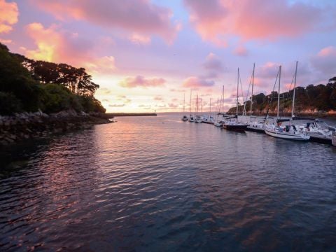 Menez Bichen - Camping Paradis - Camping Finistère - Image N°56