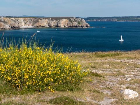 Menez Bichen - Camping Paradis - Camping Finistère - Image N°46