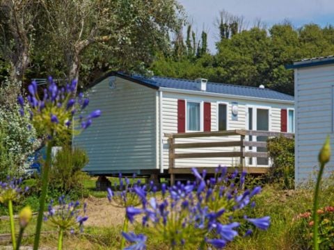 Menez Bichen - Camping Paradis - Camping Finistère - Image N°99