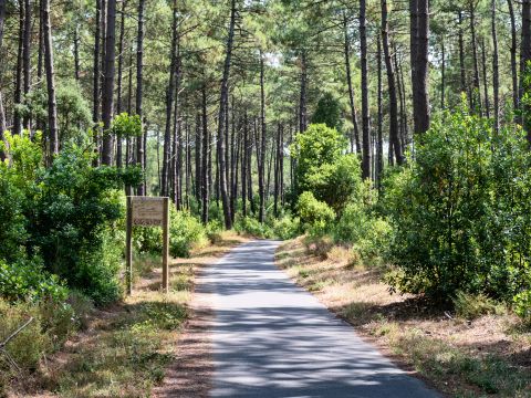 Camping Maeva Escapades La Clairière - Camping Landes - Image N°13