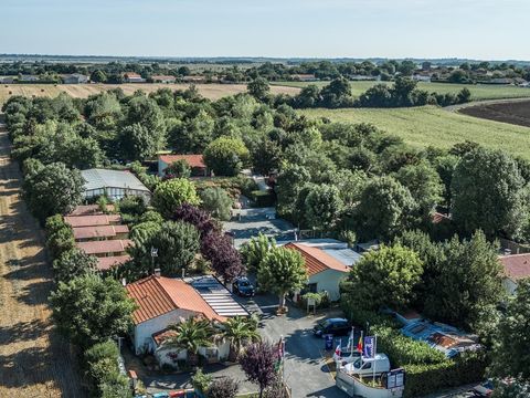 Flower Camping L'Abri Côtier - Camping Charente-Maritime - Image N°23