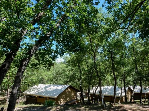 TENTE TOILE ET BOIS 5 personnes - SAFARI LODGE  sans sanitaires