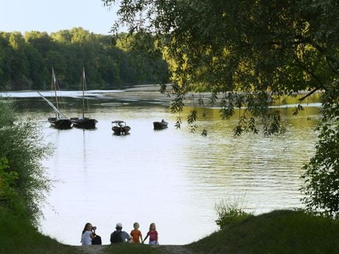 Camping Les Portes de Sancerre - Camping Cher - Image N°13