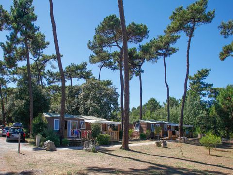 Flower Camping Monplaisir | Camping Oléron 4 étoiles - Camping Charente-Maritime - Image N°8