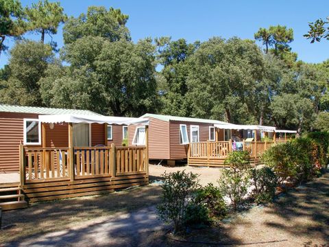 Flower Camping Monplaisir | Camping Oléron 4 étoiles - Camping Charente-Maritime - Image N°8