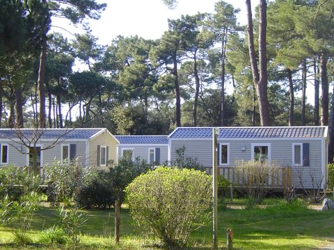 Camping Saint Tro Park - Camping Charente-Maritime - Image N°11