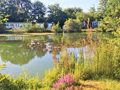 Camping Les Etangs Mina - Camping Charente-Maritime - Image N°28