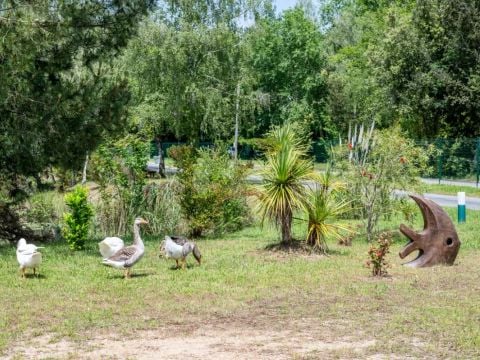 Camping Les Etangs Mina - Camping Charente-Maritime - Image N°110