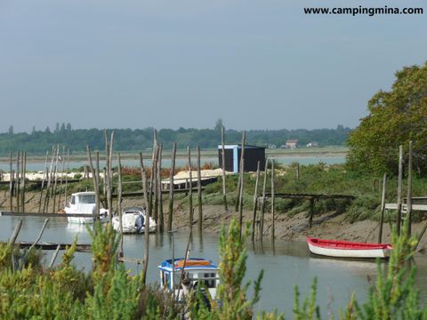 Camping Les Etangs Mina - Camping Charente-Maritime - Image N°93