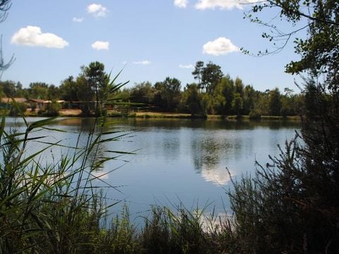 Camping Les Etangs Mina - Camping Charente-Maritime - Image N°31