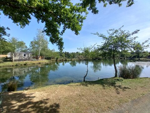 Camping Les Etangs Mina - Camping Charente-Maritime - Image N°31