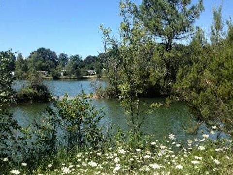 Camping Les Etangs Mina - Camping Charente-Maritime - Image N°51