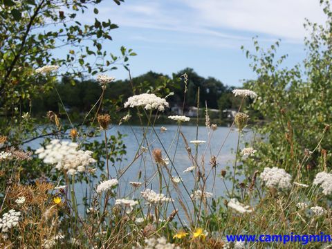 Camping Les Etangs Mina - Camping Charente-Maritime - Image N°33