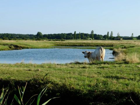 Camping Les Etangs Mina - Camping Charente-Maritime - Image N°57