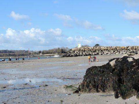 Camping Les Myrtilles - Camping Finistere - Image N°17