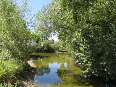 Camping Les P'tites Maisons dans la Prairie - Camping Vendée - Image N°10