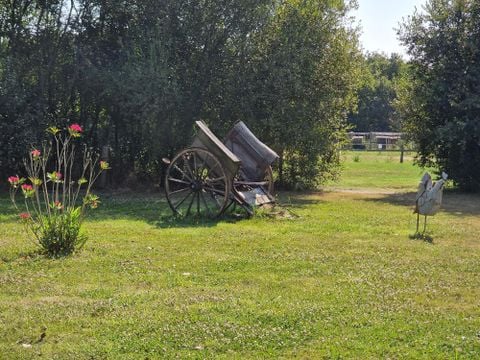 Camping Les P'tites Maisons dans la Prairie - Camping Vendée - Image N°26