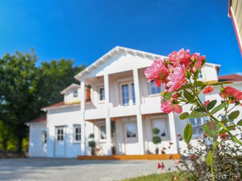 Village de gîte Dallas - Camping Vendée - Image N°3