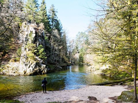 Camping les Nids du Lac - Camping Vosges - Image N°28