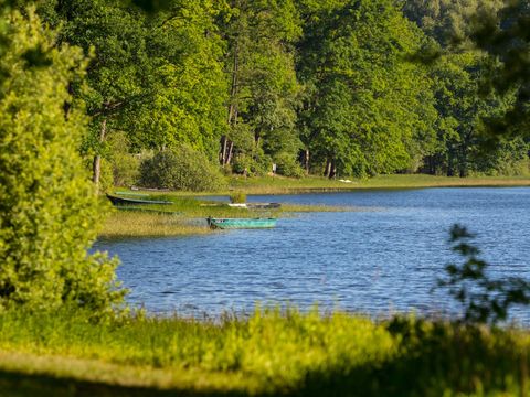 Camping les Nids du Lac - Camping Vosges - Image N°17