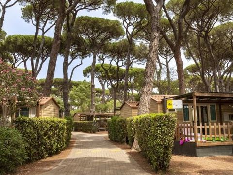 hu Park Albatros village - Camping Livorno - Afbeelding N°5