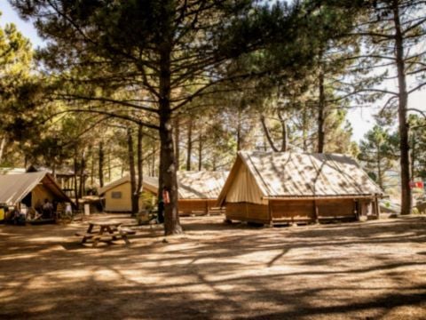 Camping Olva  - Camping Corse du Sud - Image N°47