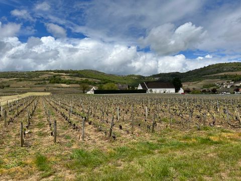 Camping de Santenay - Camping Côte-d'Or - Image N°27