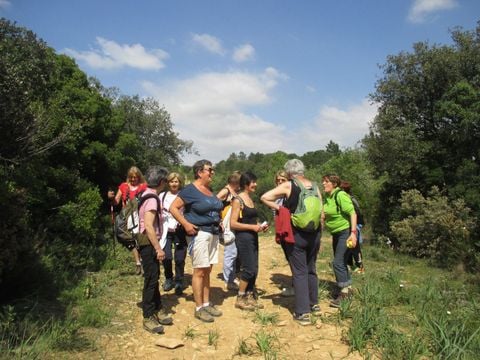 Camping Bleu Marine   - Camping Hérault - Image N°44