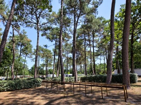 Camping Municipal Les Genêts - Camping Gironde - Image N°20