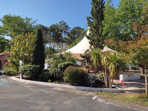 Camping Municipal Les Genêts - Camping Gironde - Image N°13