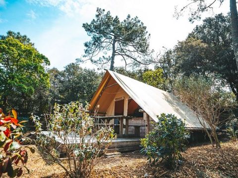 BUNGALOW TOILÉ 4 personnes - Cabane Amazone (sans sanitaires)