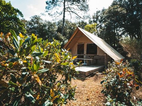 CANVAS BUNGALOW 4 people - Amazon hut (without sanitary facilities)