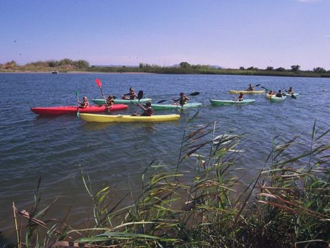 Camping El Riu - Camping Gérone - Image N°41