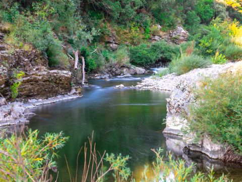 Camping Les Gorges de l'Herault - Camping Gard - Image N°2