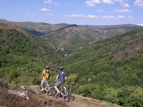 Camping Les Gorges de l'Herault - Camping Gard - Image N°26