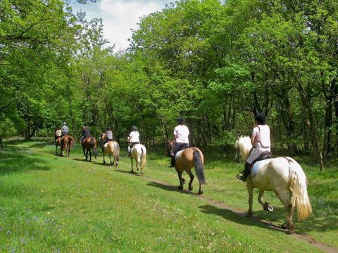 Camping Domaine des Grands Pins  - Camping Dordogne - Image N°18