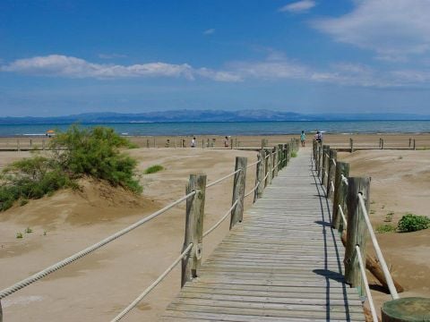 Camping Taiga Delta de l'Ebre - Camping Tarragone - Image N°29