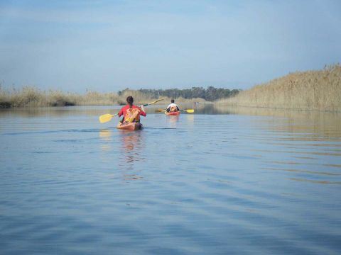 Camping Taiga Delta de l'Ebre - Camping Tarragone - Image N°15