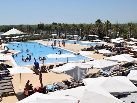 Camping Taiga Delta de l'Ebre - Camping Tarragone - Image N°8