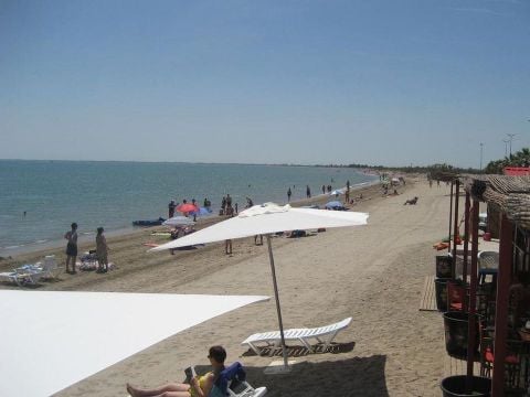 Camping Taiga Delta de l'Ebre - Camping Tarragone - Image N°22